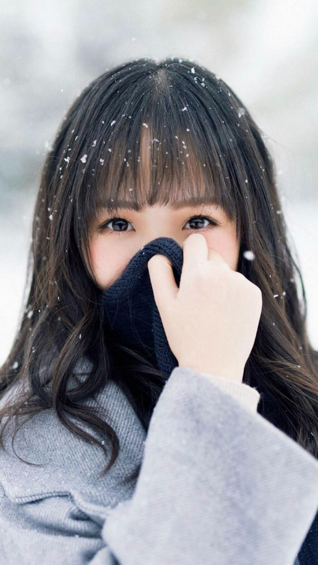 绿衫军横扫东北虎，控卫之神再书传奇，团队交响中的不朽独奏