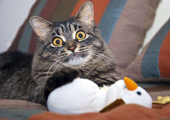 爱游戏大厅-红土绝杀