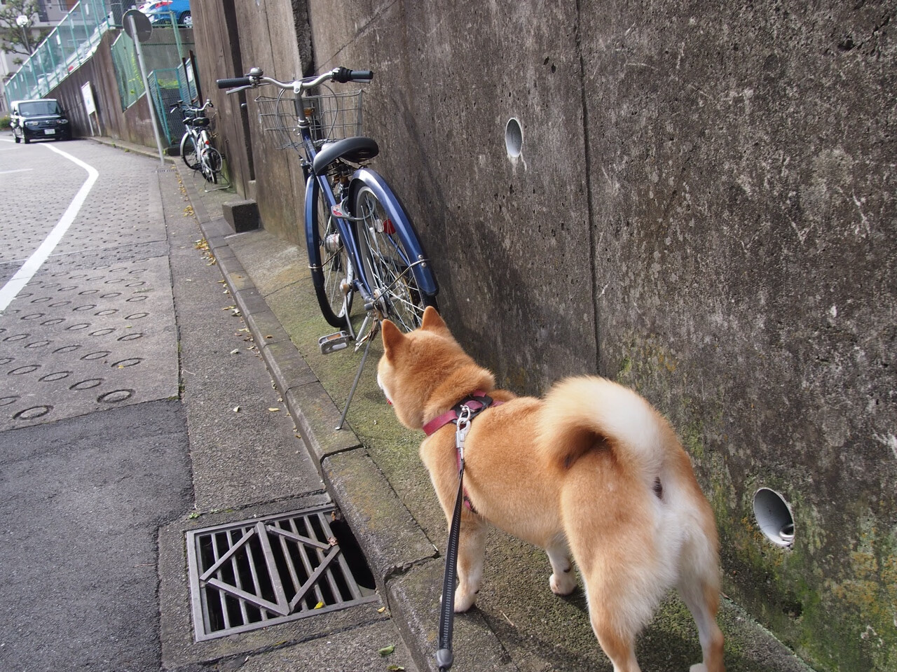 爱游戏官方-阿什拉夫展现巨星价值，厄瓜多尔三分钟两球强行终结比利亚雷亚尔