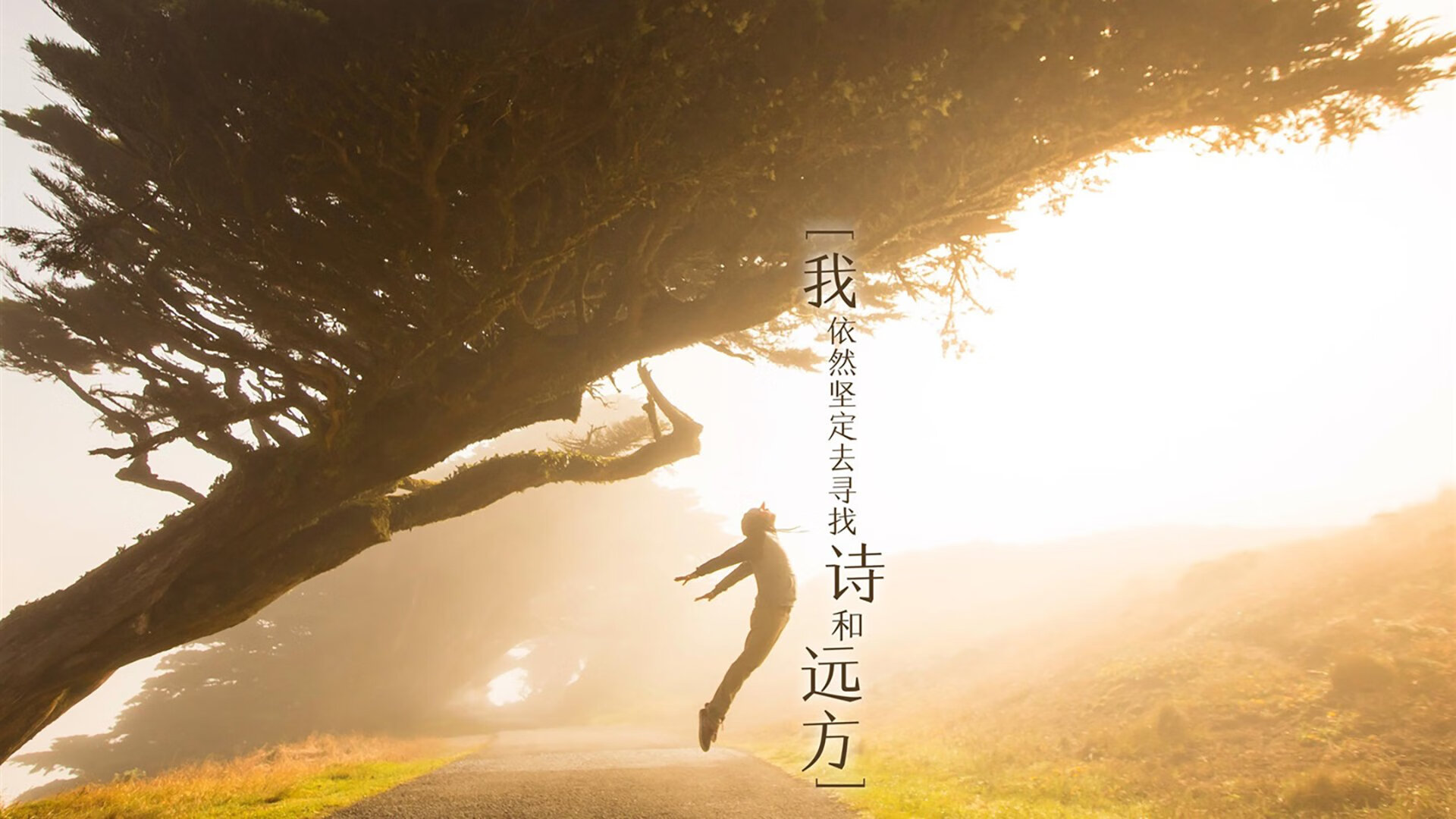 唯一性,利拉德的压制级宣言—开拓者终结热火主场神话