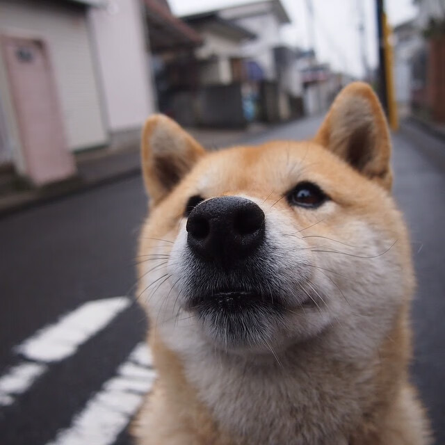 萨内统治全场，哥伦比亚淘汰赛力克墨西哥晋级
