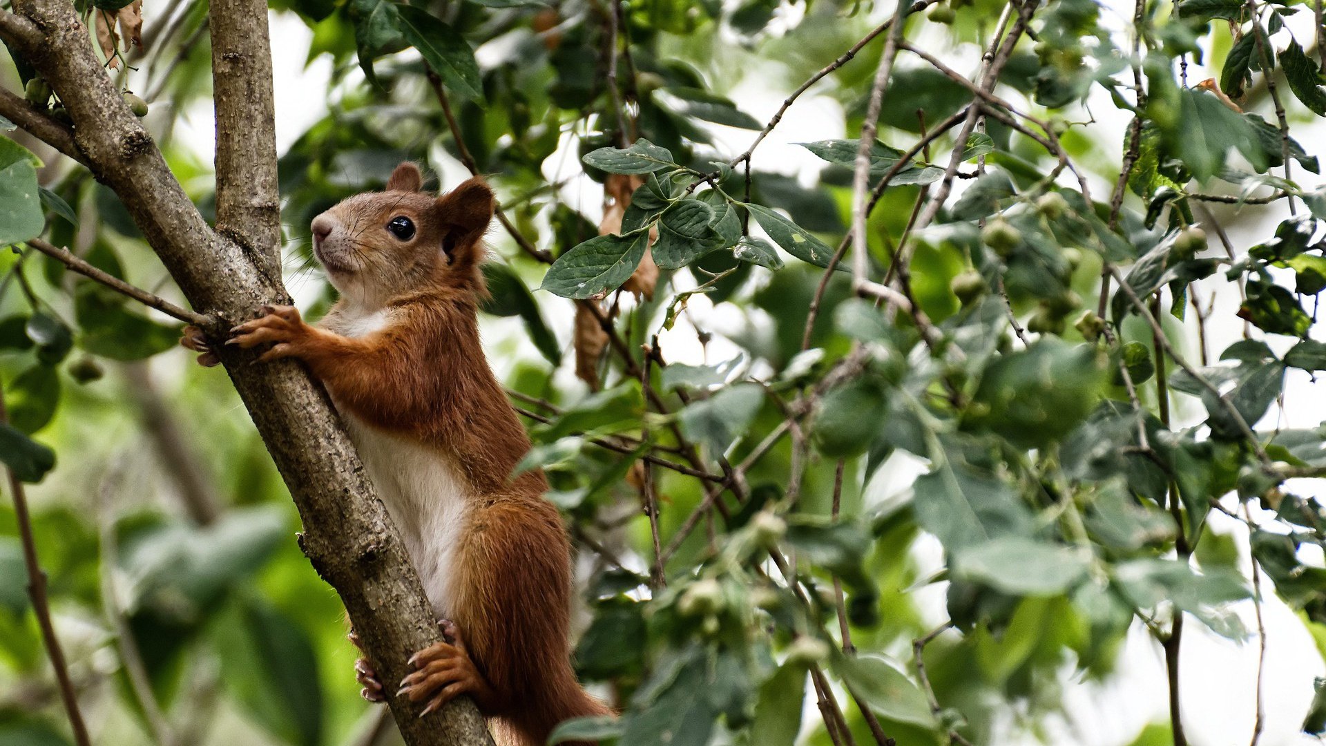 从文班亚马的单场奇迹到热火的团队铁壁，现代篮球的双重奏鸣