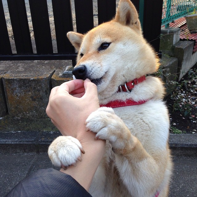 2002绿茵史诗，当特兰加雄狮在唯一的世界杯处子秀中冲垮核弹头的黄金一代