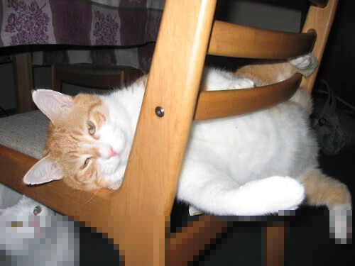 双线救赎，国家使命与个人巅峰的交响