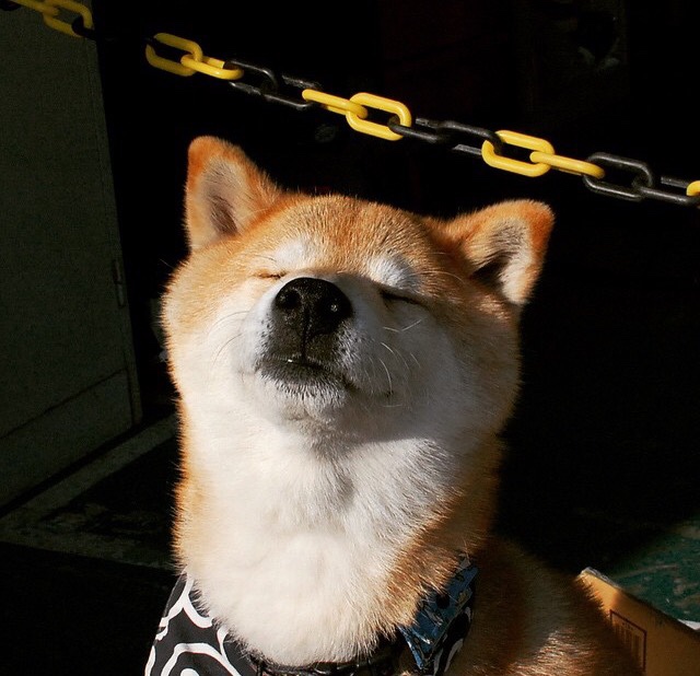 铁闸与利刃，霍勒迪攻防一体爆发，步行者末节一波流带走凯尔特人