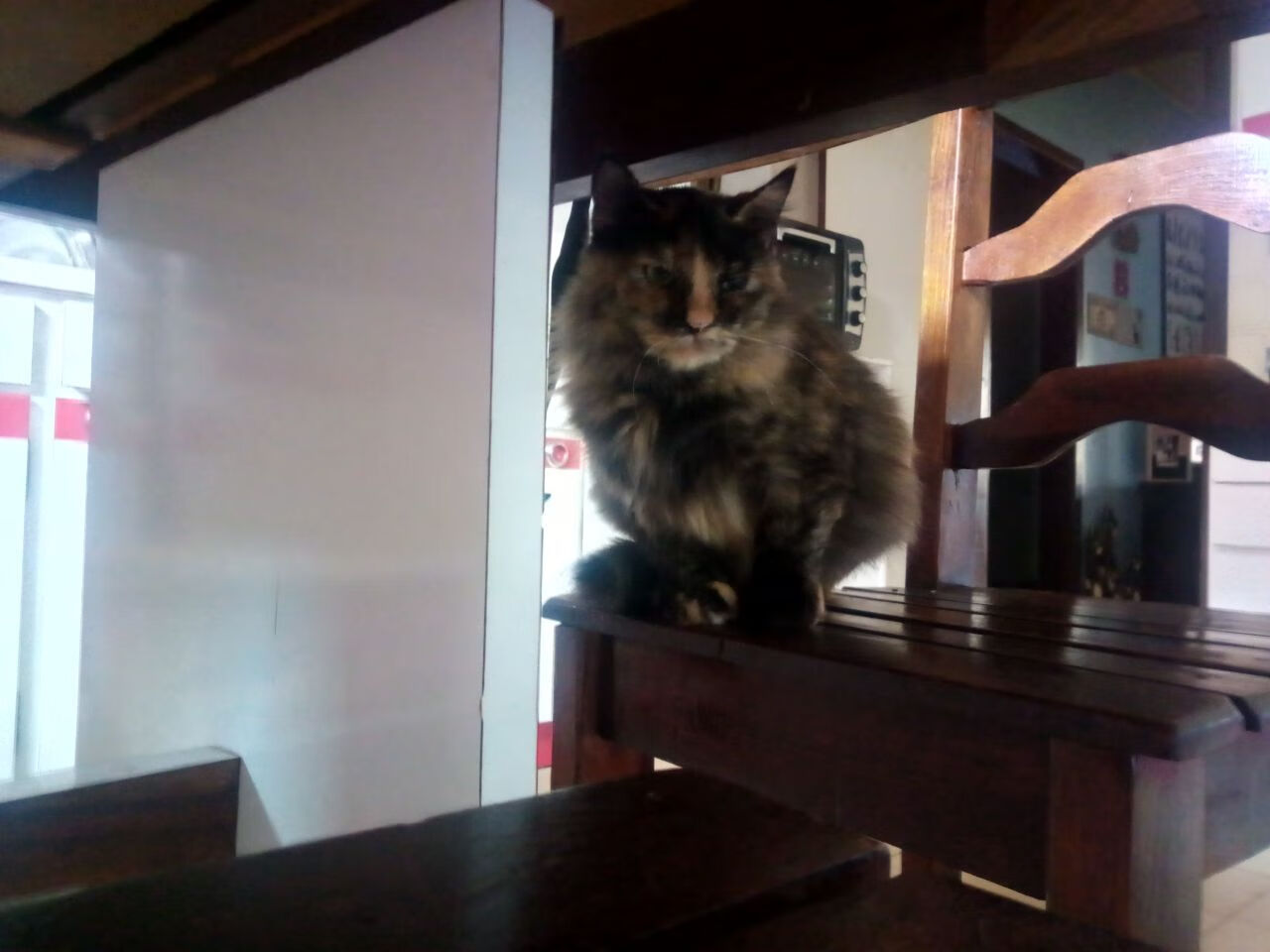 爱游戏APP-黄金枷锁，当皇马沉默的加纳利犬撕碎国米，卡瓦哈尔于无声处听惊雷