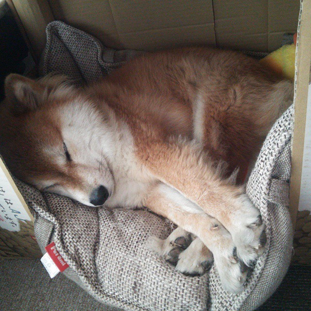 破晓时分，迪亚斯三连击与橙衣军团的非典型胜利