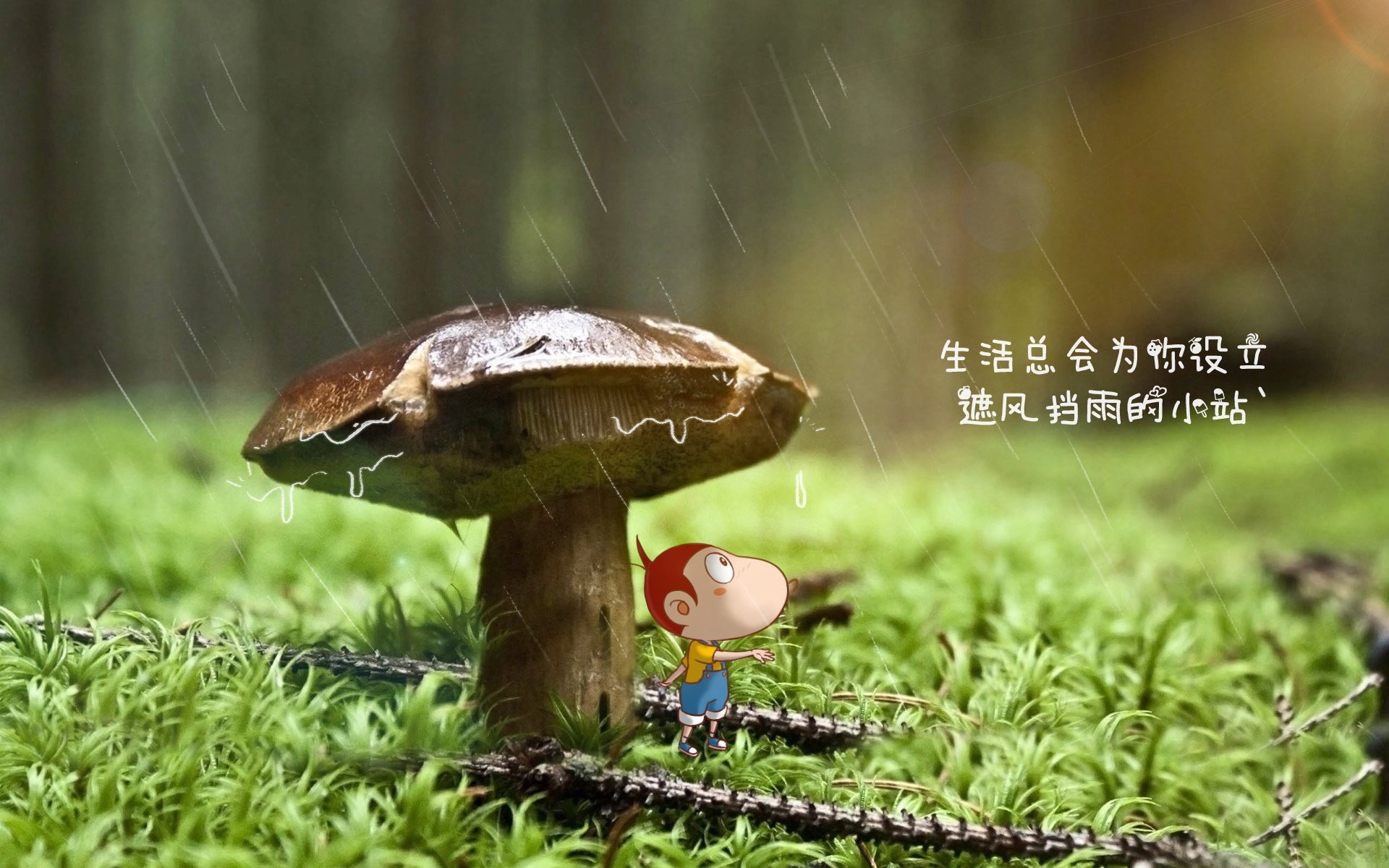 爱游戏体育-独行者的狂想，当罗马尼亚的铁蹄踏碎厄瓜多尔，萨卡在D组写下唯一答案